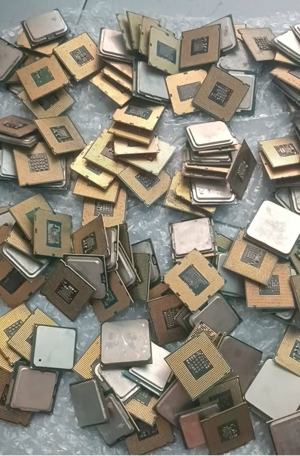 WhatsApp Image 2025-12-20 at 09.11.47