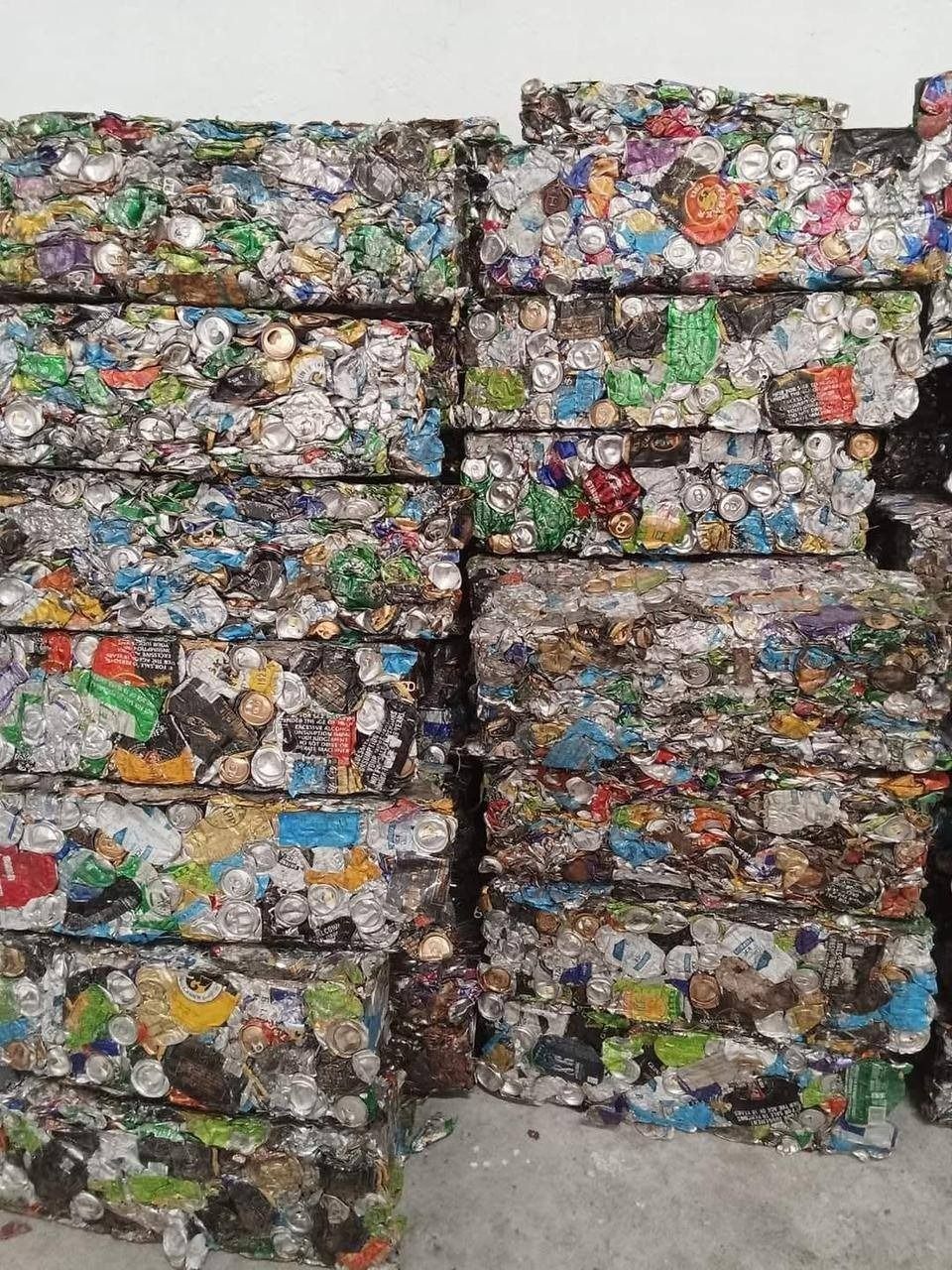 WhatsApp Image 2026-01-24 at 22.05.52