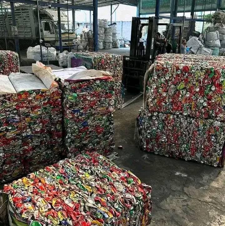 WhatsApp Image 2026-01-24 at 22.05.53