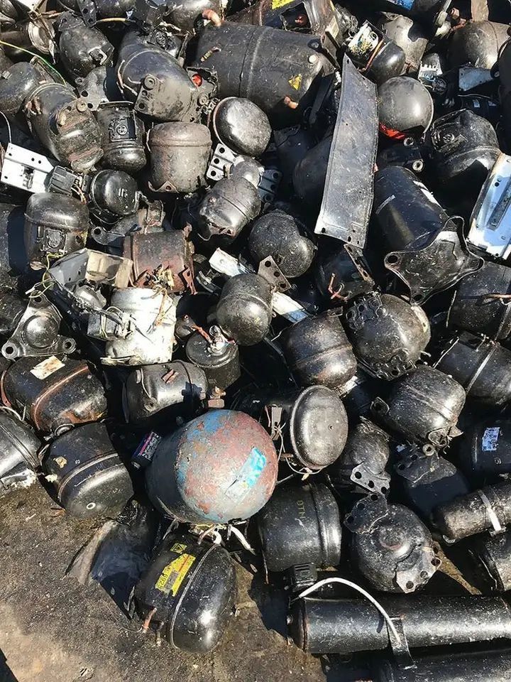 WhatsApp Image 2026-01-24 at 22.08.54